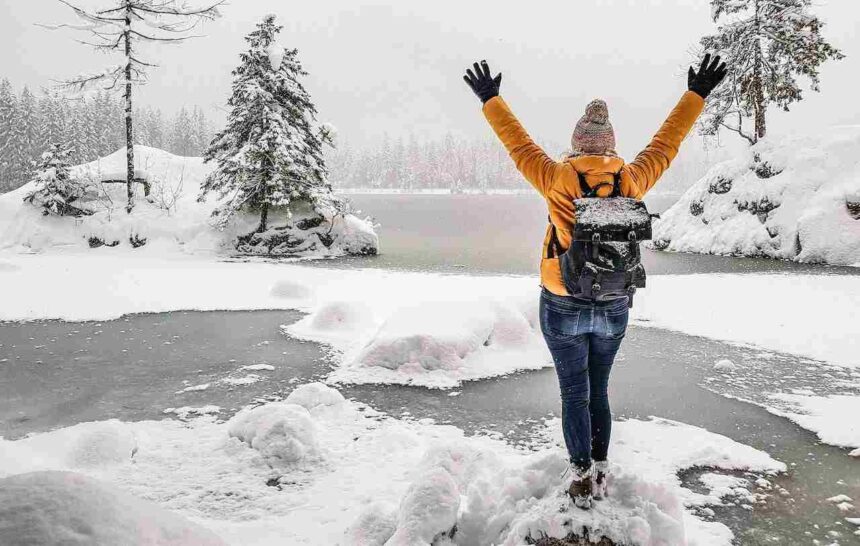 Non Permanent Residents In Canada