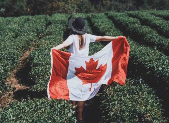 Census Undercoverage for Non-Permanent Residents