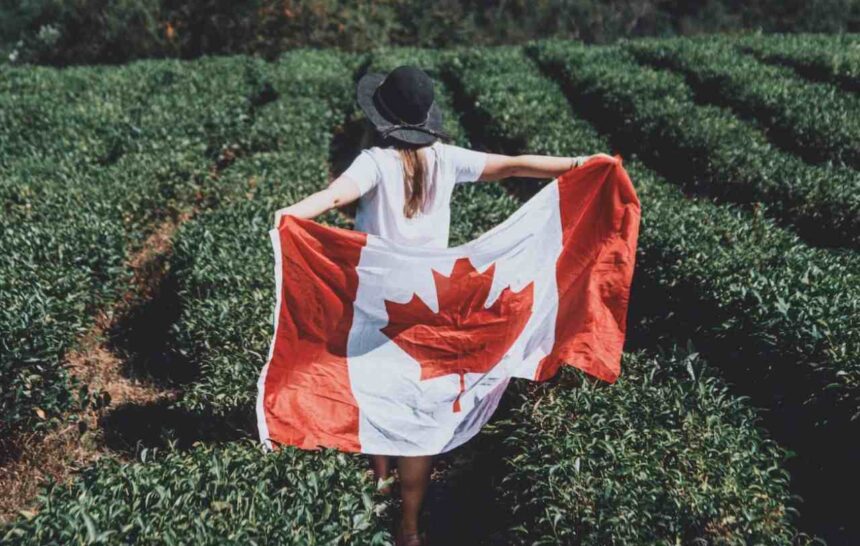 New Study Reveals Major Shifts in Census Undercoverage for Non-Permanent Residents in Canada- ImmigCanada Census Undercoverage for Non-Permanent Residents