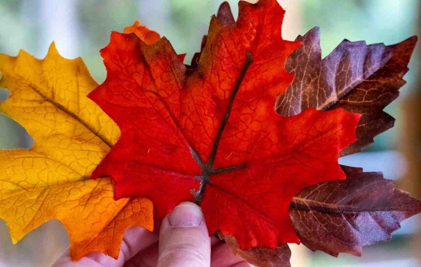 Nova Scotia Expression of Interest System Introduced to Streamline Provincial Immigration- ImmigCanada Nova Scotia Expression of Interest System