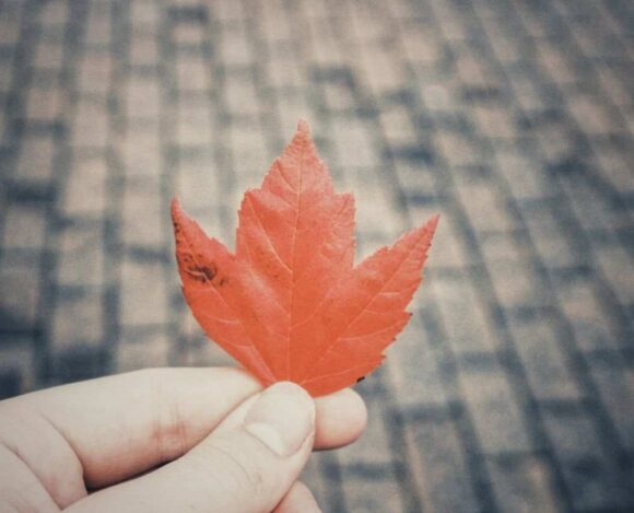 Quebec Immigrant Retention