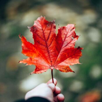 Canada Unveils Major Cost-of-Living Relief Package