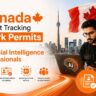 Work Permits for Artificial Intelligence Professionals