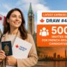 Express Entry Draw #429